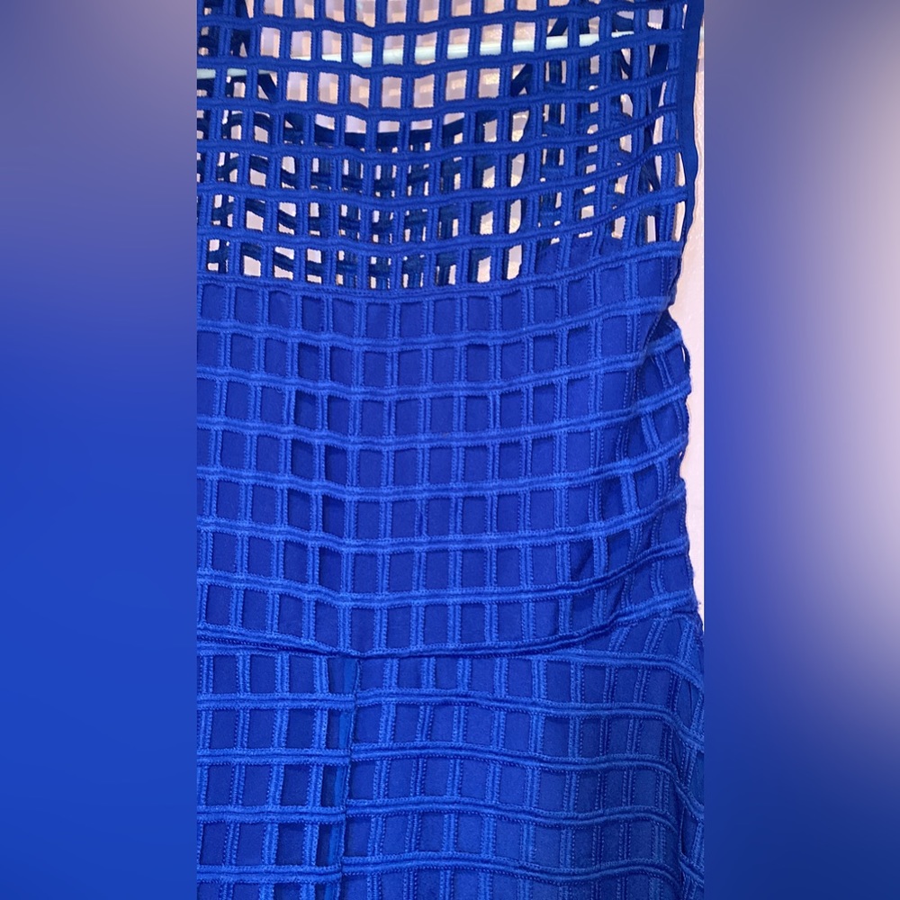 Net style Dress - Picture 5 of 5